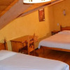 Отель Hôtel Alpis Cottia, фото 22