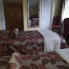 Отель Golden Dawn Guesthouse, фото 6