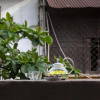 Отель Centraltique Downtown - Bespoke Colonial House Near Hoan Kiem Lake, фото 8