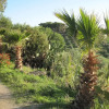 Отель L Agave e la Palma Nana, фото 15