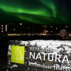 Отель Reykjavik Natura - Berjaya Iceland Hotels, фото 29