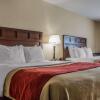 Отель Comfort Inn & Suites Farmington - Victor, фото 49