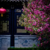 Отель Wenying Hotel, фото 7