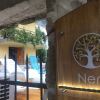 Отель Neni Apartments в Доброте