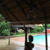 Отель Kgogomodumo Lodge, фото 13