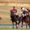 Отель Apes Hill Golf and Polo Club, фото 34
