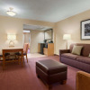 Отель Embassy Suites by Hilton Kansas City International Airport, фото 7