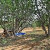 Отель Overgaard Cabin Near Mogollon Rim & Hiking, фото 17