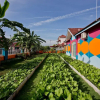 Отель MBI Desaku Homestay, фото 32