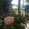 Гостиница Guesthouse Pal'ma, фото 4