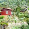 Отель Ecologic Thailand, фото 27
