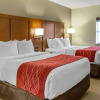 Отель Comfort Inn Lancaster - Rockvale Outlets, фото 42