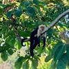 Отель Prime Hermosa: Ocean View Villa w/ Infinity Pool by RedAwning, фото 14