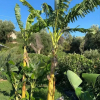 Отель La Maison Corfu - Adults Only, фото 1