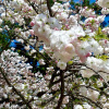 Отель WeBase KYOTO, фото 23