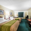 Отель Comfort Inn, фото 5