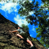 Отель Mt Barney Lodge Country Retreat, фото 15