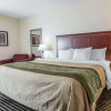 Отель Comfort Inn Birmingham - Irondale, фото 30