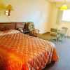 Отель Rock City Motel, фото 30