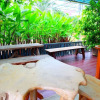Отель Baan Nasai Resort, фото 20