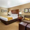 Отель Comfort Inn & Suites Springfield I-44, фото 6