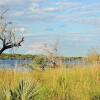 Отель Thebe River Safaris, фото 18