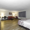 Отель Red Roof Inn Holton, фото 4