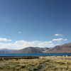Отель Pangong Sarai, фото 20