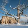 Отель Beamish Hall Country House Hotel, BW Premier Collection, фото 27