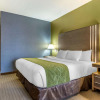 Отель Comfort Suites Southgate-Detroit, фото 6