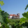 Отель Popova Kula Hotel & Winery в Неготино