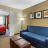 Отель Comfort Suites Oakbrook Terrace near Oakbrook Center, фото 33