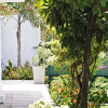 Отель Bungalow On 53, фото 22
