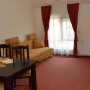 Отель Pensiune La Conac, фото 6