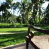 Отель Villa Peacock, фото 13