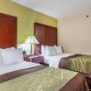 Отель Comfort Inn Decatur Priceville, фото 7