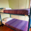 Отель Ocean Island Inn Backpackers Suites - Hostel, фото 4