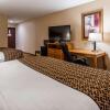Отель Best Western South Plains Inn & Suites, фото 6