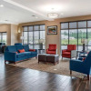 Отель Comfort Suites Pell City I-20 exit 158, фото 14