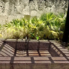 Отель Cap Cana Bungalow Con Piscina Privada, фото 16