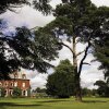 Отель Champneys Tring, фото 19