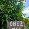 Отель Pension Chez Mel в Нуку-Хиве