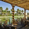 Отель PortAventura Hotel Caribe - Theme Park Tickets Included, фото 11