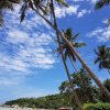 Отель Koh Tao Tropicana Resort, фото 23