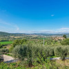 Отель Rustic Holiday Home in Corciano with Swimming Pool, фото 17