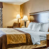 Отель Comfort Inn & Suites, фото 3