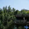 Отель yunlu·Eighteen Miles Hotel, фото 10