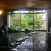 Отель Meijisou, фото 12