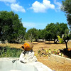 Отель Trullo In Pietra Con Giardino, фото 4