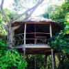 Отель Ten103 Treehouse Bay, фото 8